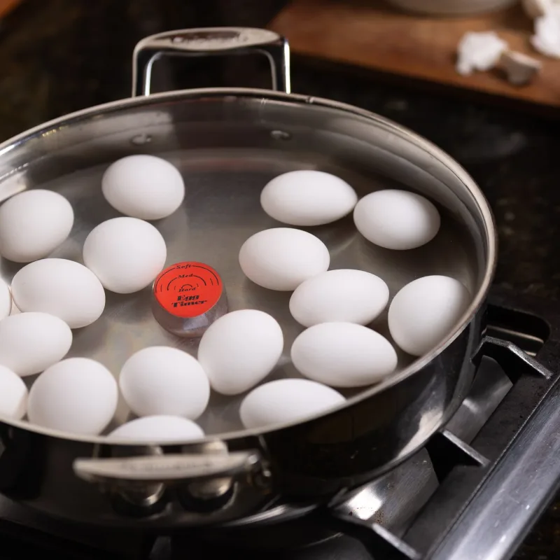 Color Changing Egg Timer