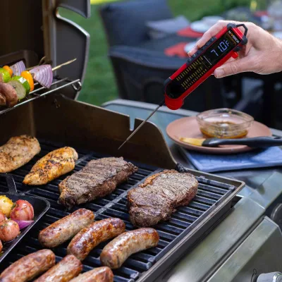 Pro-Temp プロフェッショナル熱電対温度計